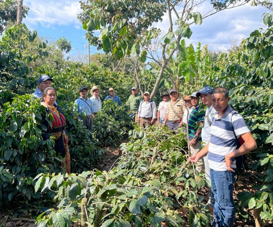 グアテマラ Co-NECT PROJECT アカテナンゴ サンディエゴ・ブエナ